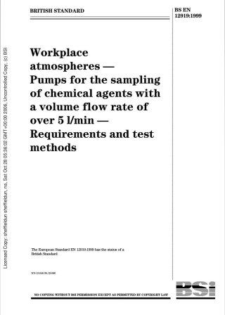 BS EN 12919-1999.pdf