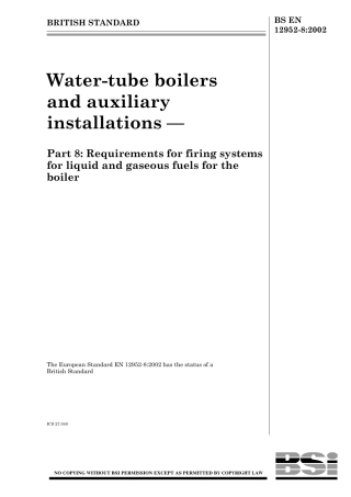 BS EN 12952-8-2002.pdf