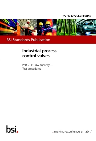BS EN 60534- 2-3-2016.pdf