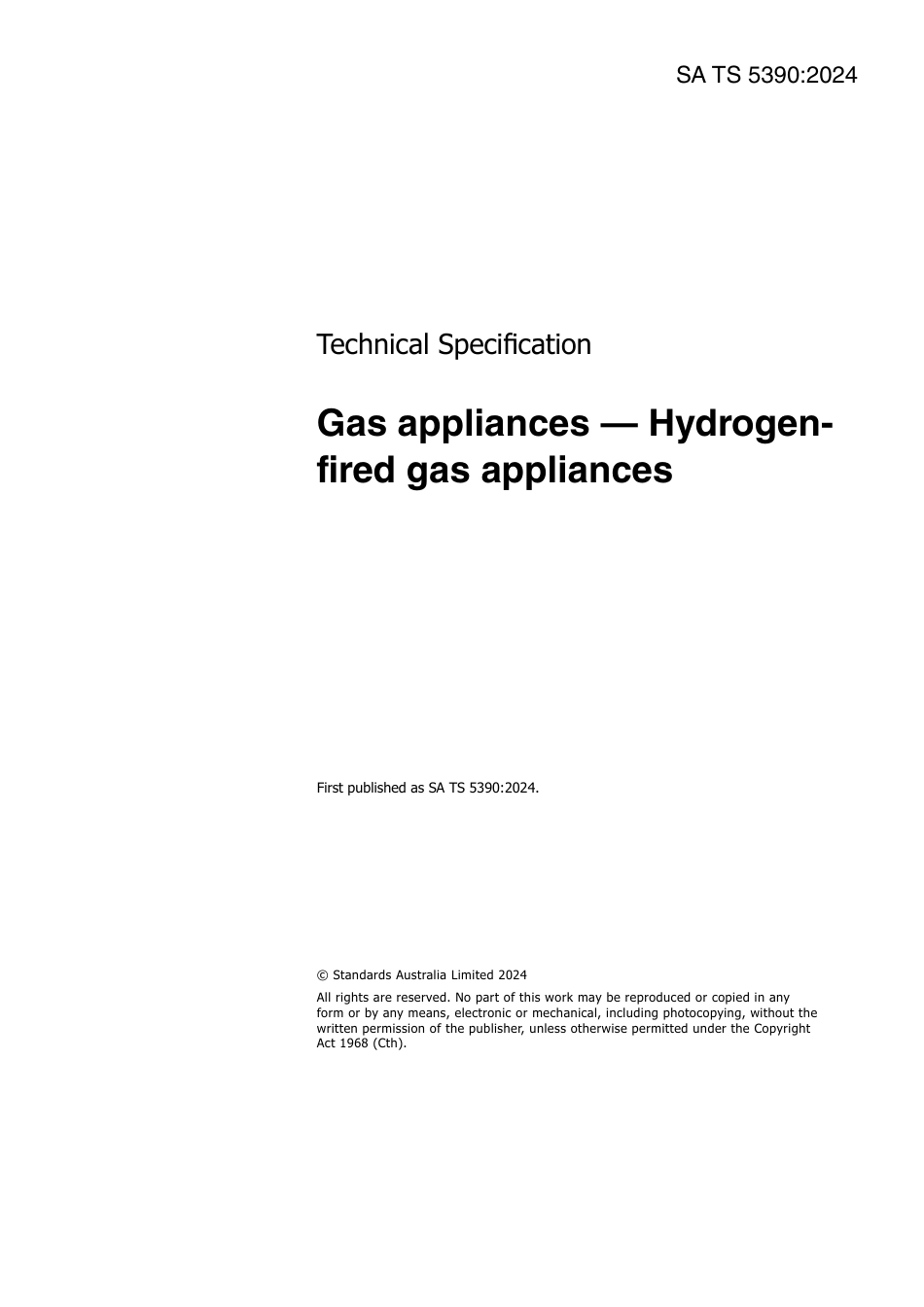 SA TS 5390-2024.pdf_第3页