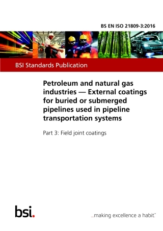 BS EN ISO 21809-3 2016.pdf