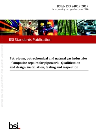 BS EN ISO 24817-2017--[2018-08-22--09-07-41 PM].pdf