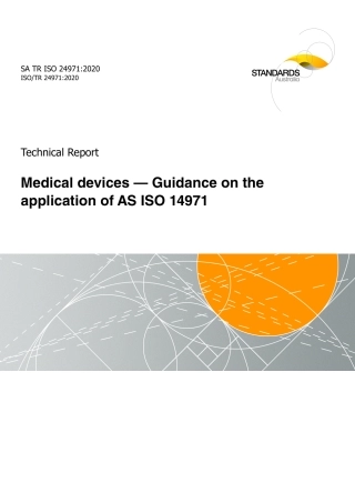 SA TR ISO 24971-2020.pdf