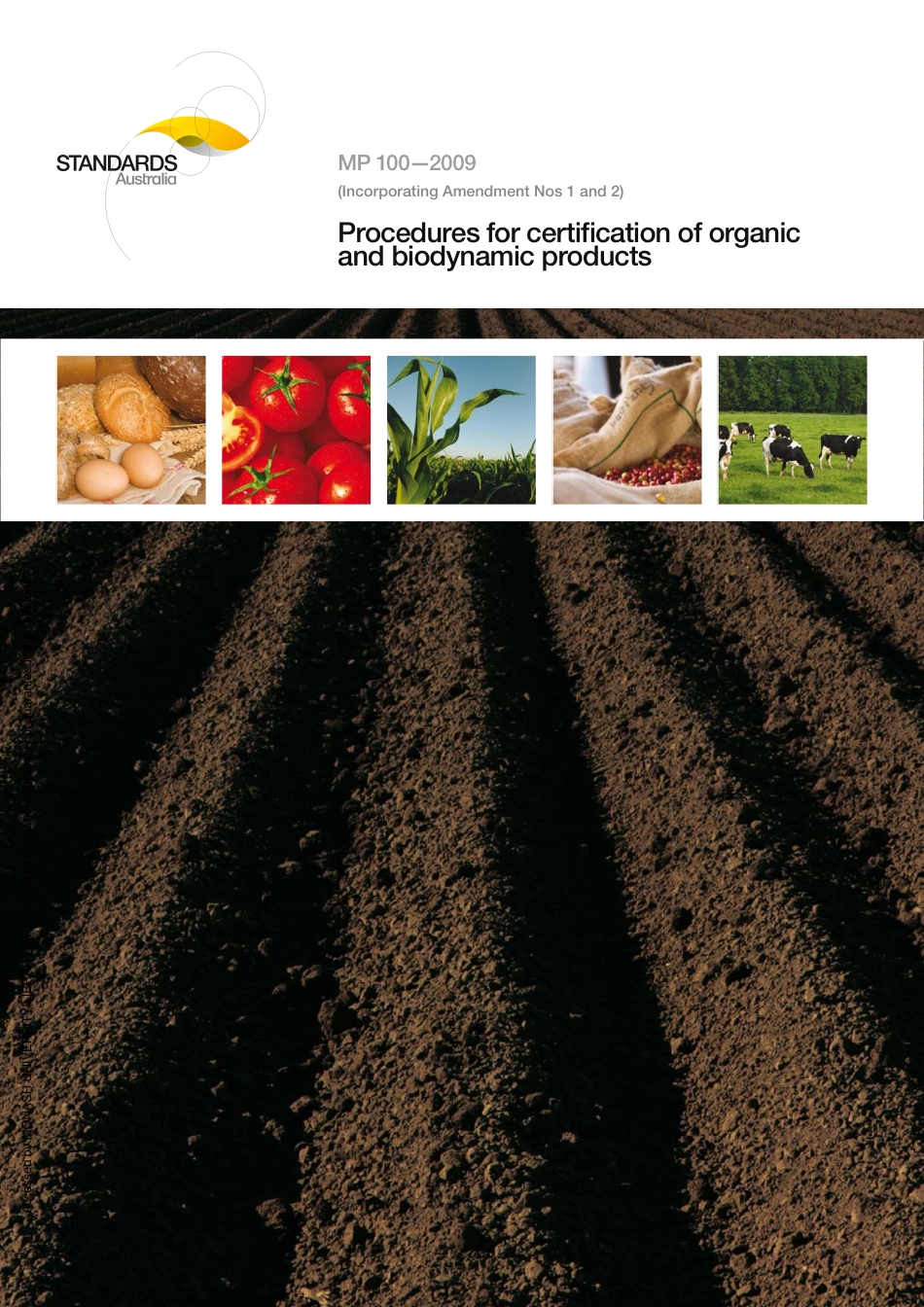 MP 100-2009 (2013).pdf_第1页