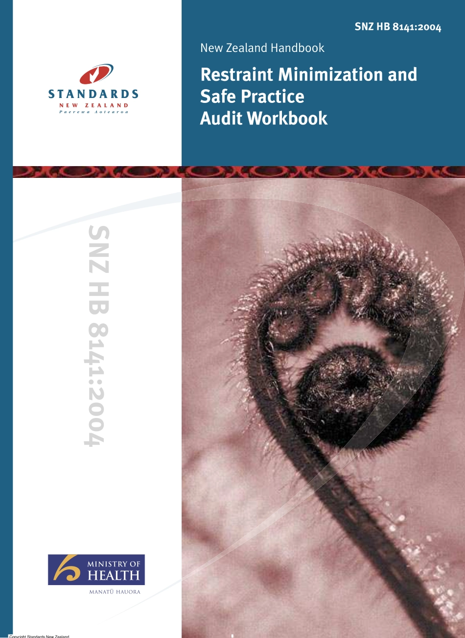 SNZ HB 8141-2004.pdf_第1页