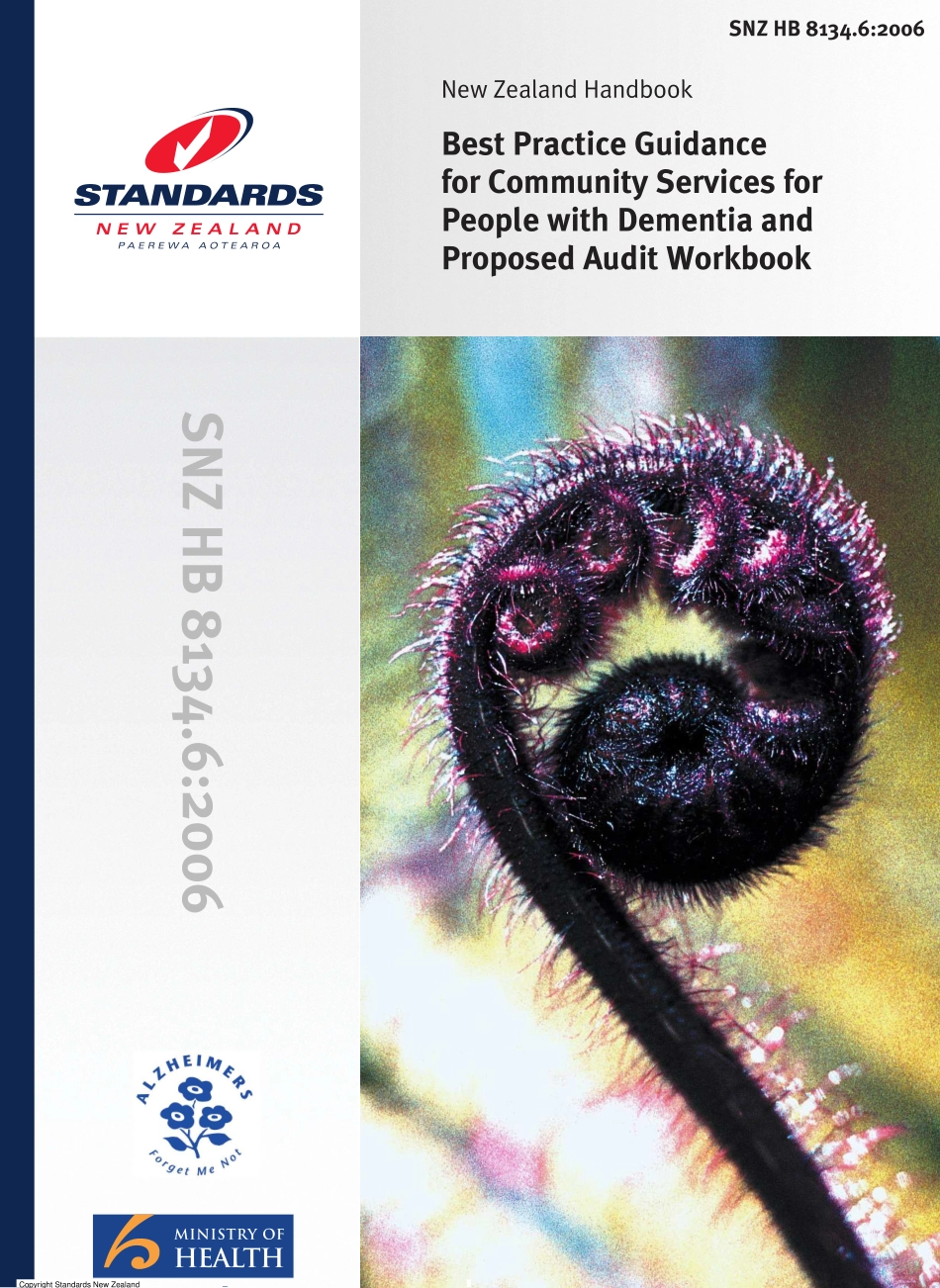 SNZ HB 8134.6-2006.pdf_第1页