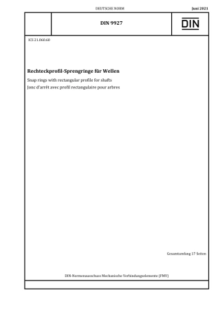 DIN_9927__2021-06.pdf