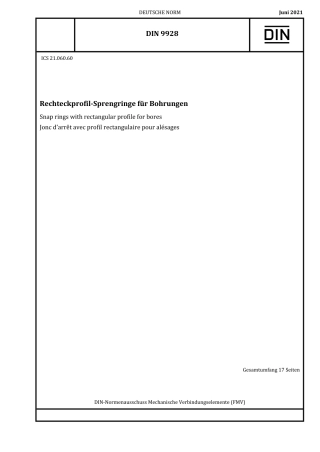 DIN_9928__2021-06.pdf