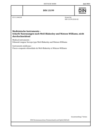 DIN_13199__2021-06.pdf