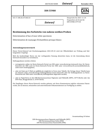 DIN_55980_E__2021-11.pdf