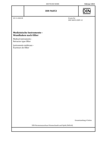 DIN_96053__2021-02.pdf