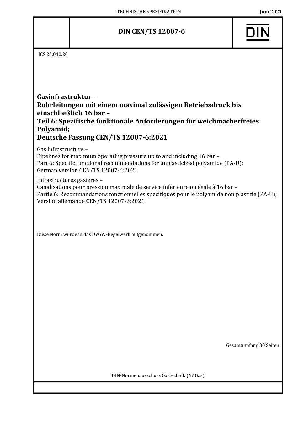 DIN_CEN_TS_12007-6__2021-06.pdf_第1页