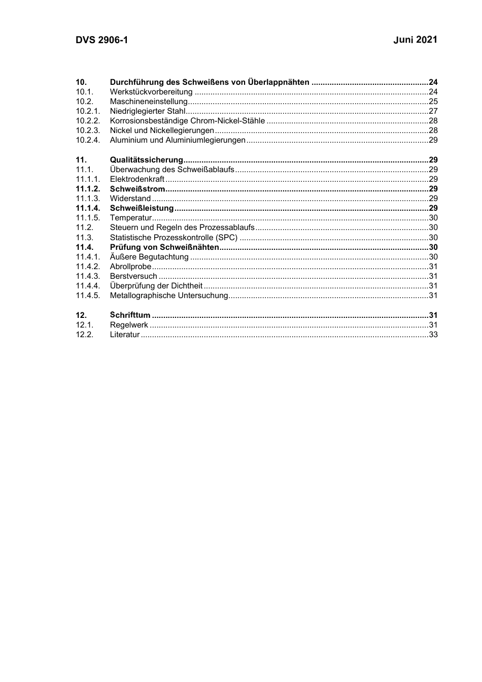 DVS_2906-1__2021-06.pdf_第3页