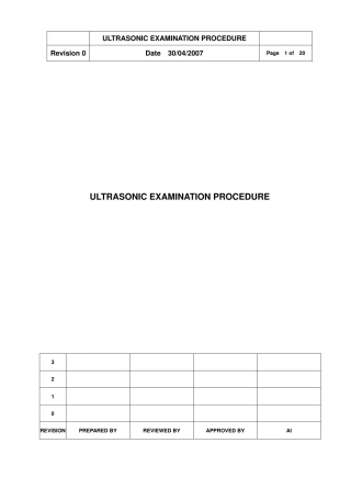 ASME规程文件 艺(UT).pdf