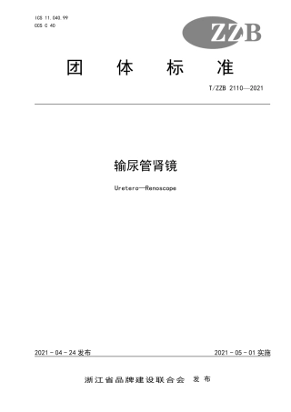 【团体标准】T∕ZZB 2110-2021 输尿管肾镜.pdf