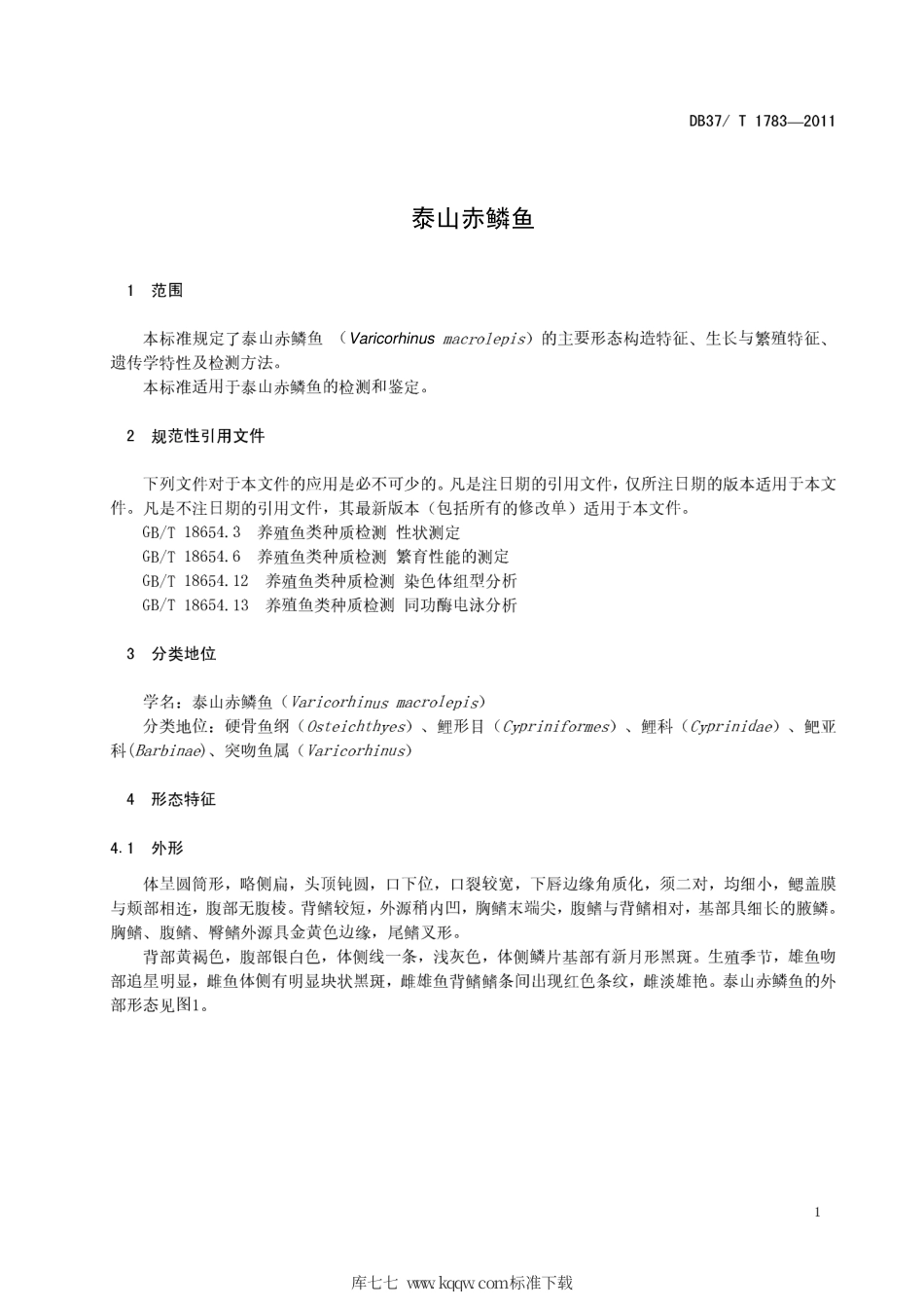 DB37∕T 1783-2011 泰山赤鳞鱼.pdf_第3页