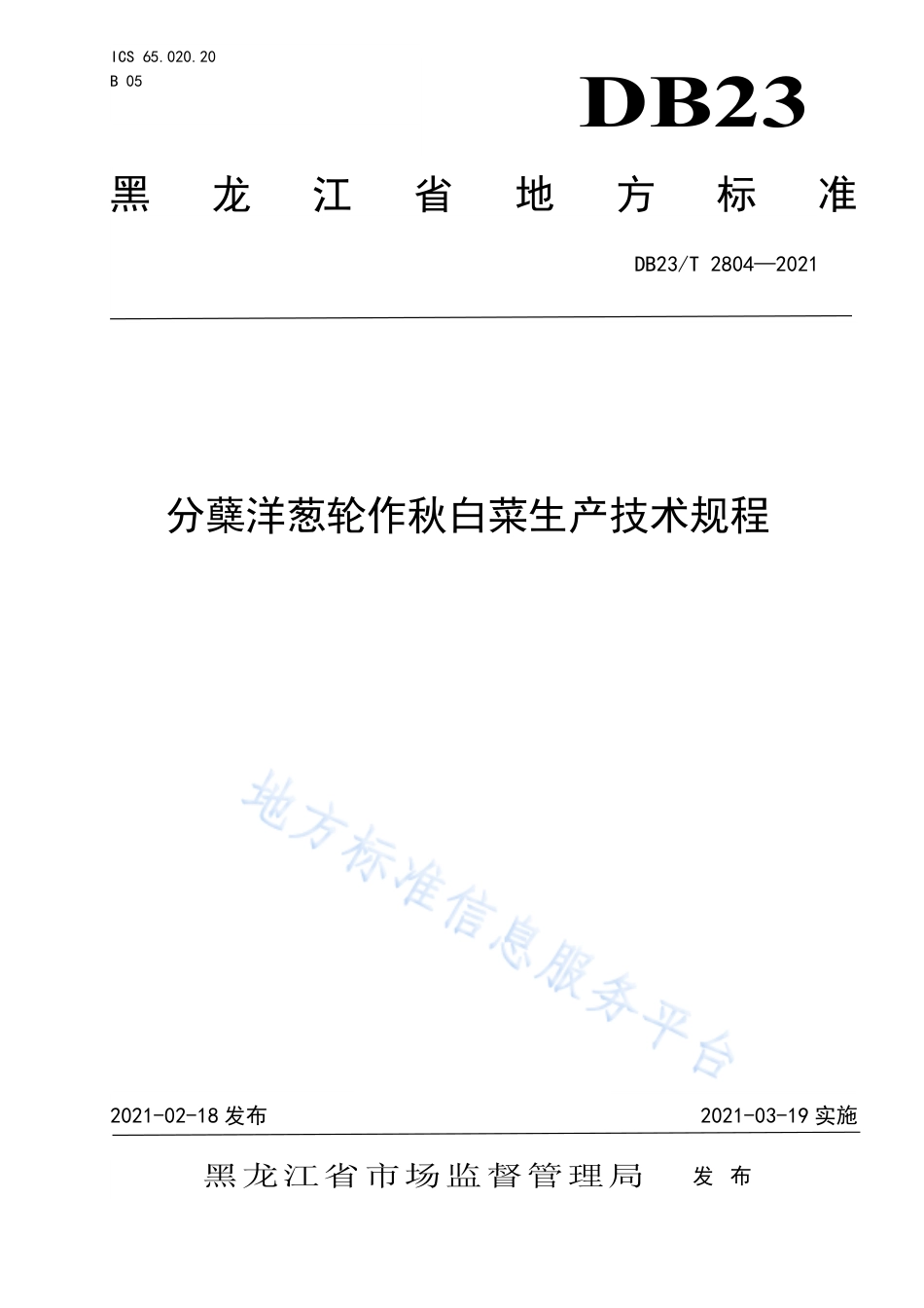 DB23T2804-2021分蘖洋葱轮作秋白菜生产技术规程.pdf_第1页