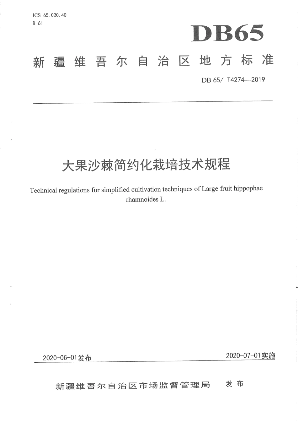 【地方标准】DB65∕T 4274-2019 大果沙棘简约栽培技术规程.pdf_第1页