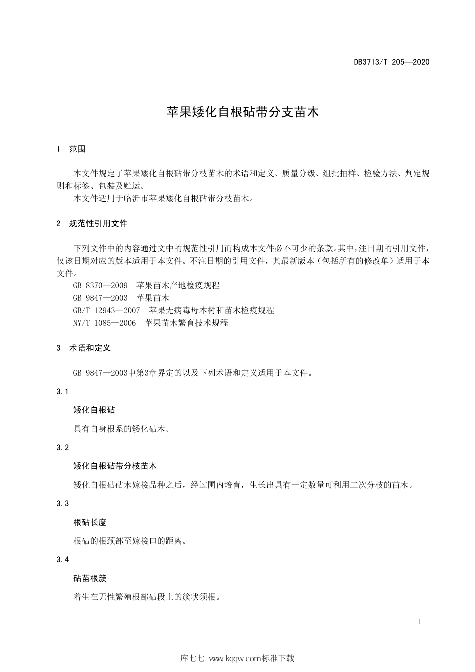 【地方标准】DB3713∕T 205-2020 苹果矮化自根砧带分支苗木.pdf_第3页
