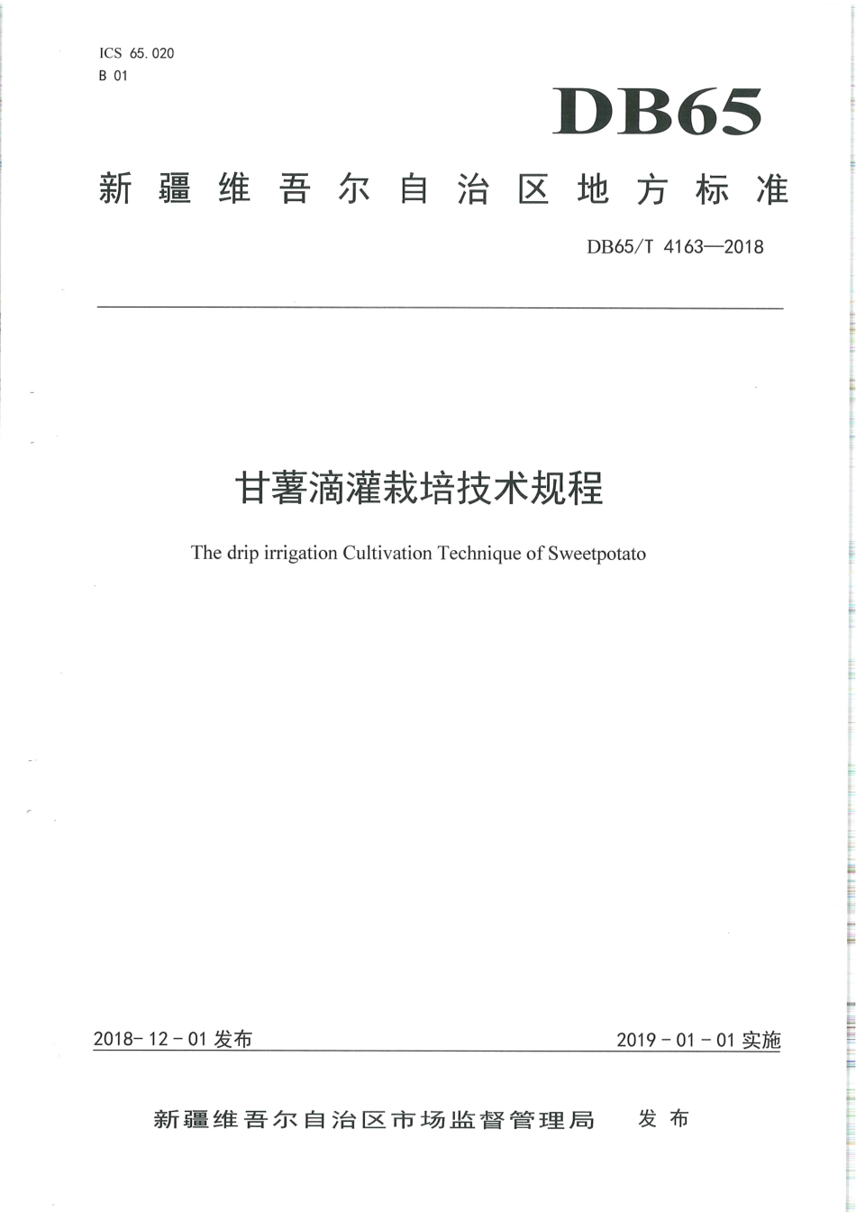 【地方标准】DB65∕T 4163-2018 甘薯滴灌栽培技术规程.pdf_第1页