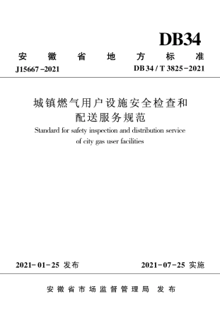 【地方标准】DB34∕T 3825-2021 城镇燃气用户设施安全检查和配送服务规范.pdf