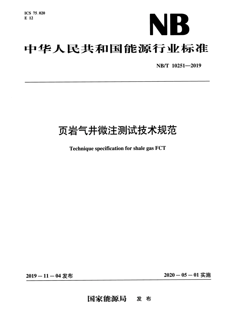 NB∕T 10251-2019 页岩气井微注测试技术规范.pdf_第1页