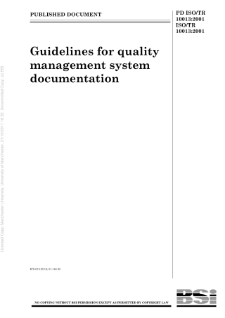 ISOTR 10013 2001.pdf