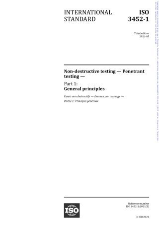 ISO+3452-1-2021.pdf
