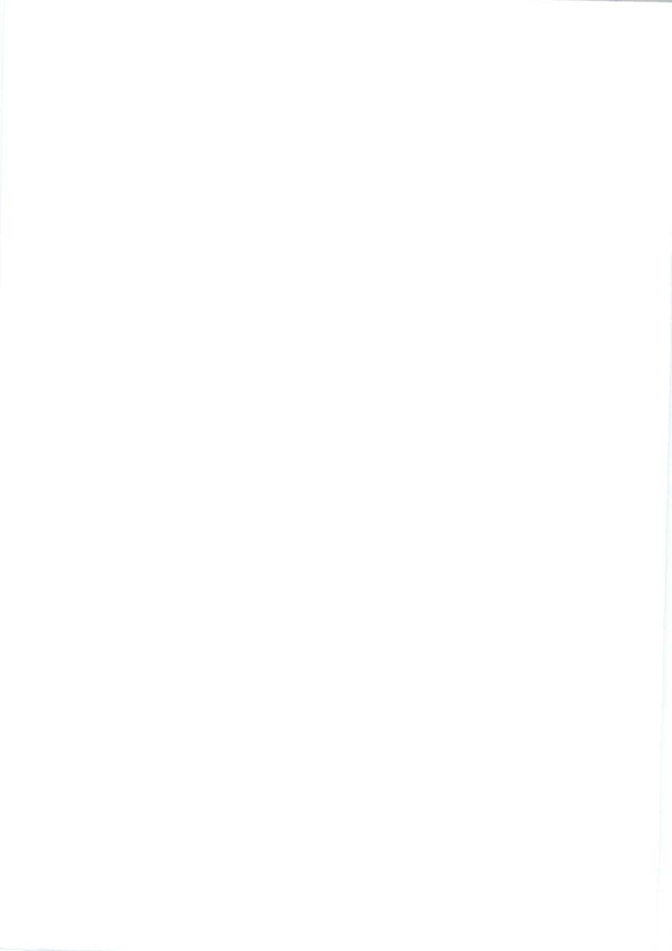 【纺织标准】FZT 70012-2010 一次成型束身无缝内衣号型.pdf_第2页