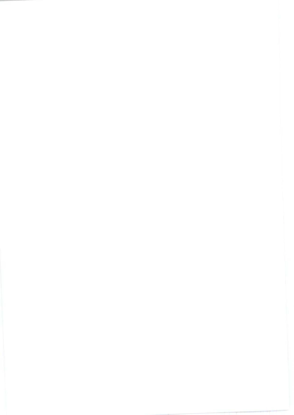 【纺织标准】FZT 63006-2010 松紧带.pdf_第2页