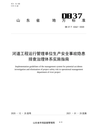 【地方标准】DB37T 4262-2020 河道工程运行管理单位生产安全事故隐患排查治理体系实施指南.docx