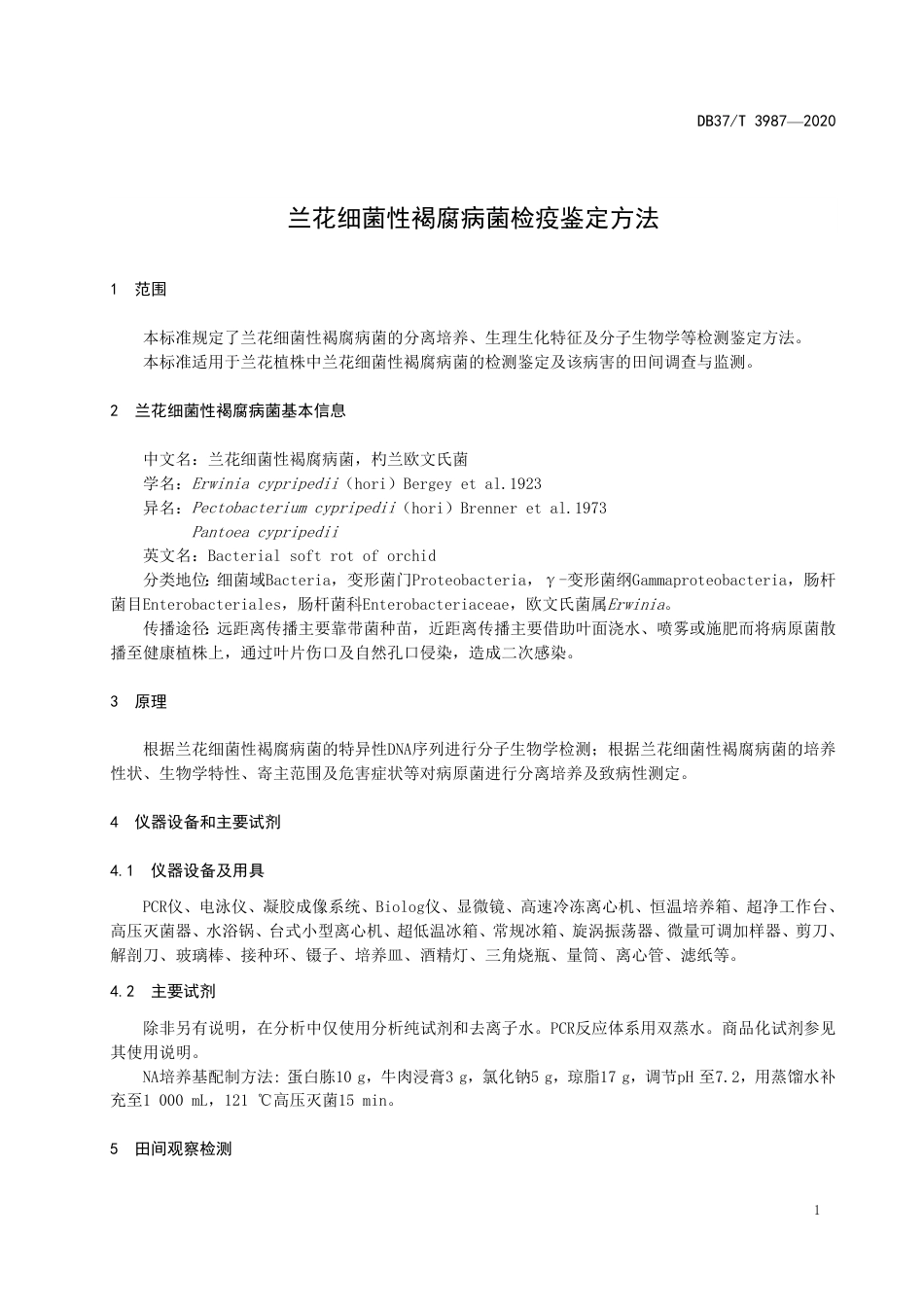 【地方标准】DB37T 3987-2020 兰花细菌性褐腐病菌检疫鉴定方法.pdf_第3页