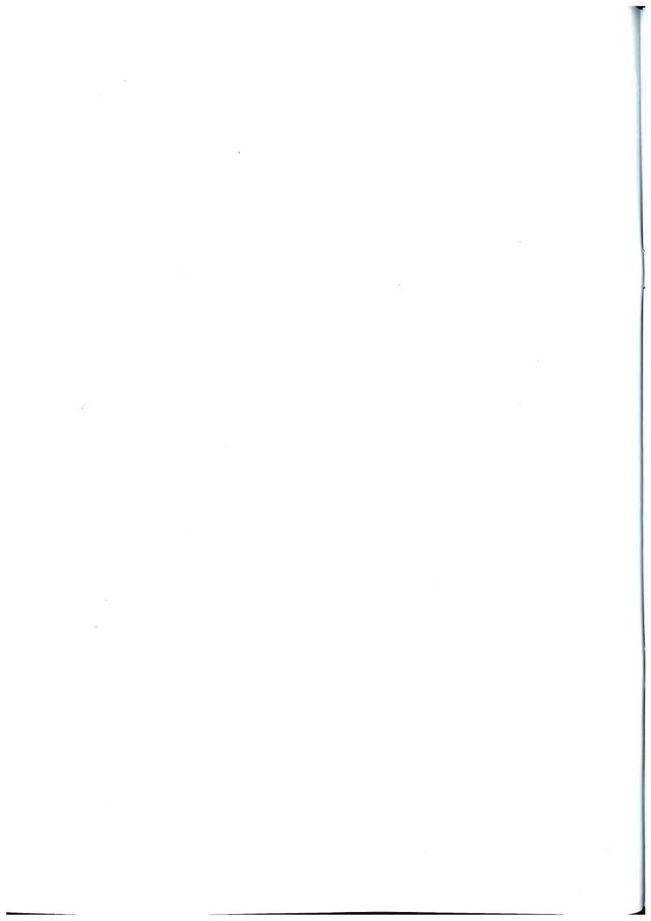 CBT 3160-2015 船用电动柱塞油污水泵.pdf_第2页