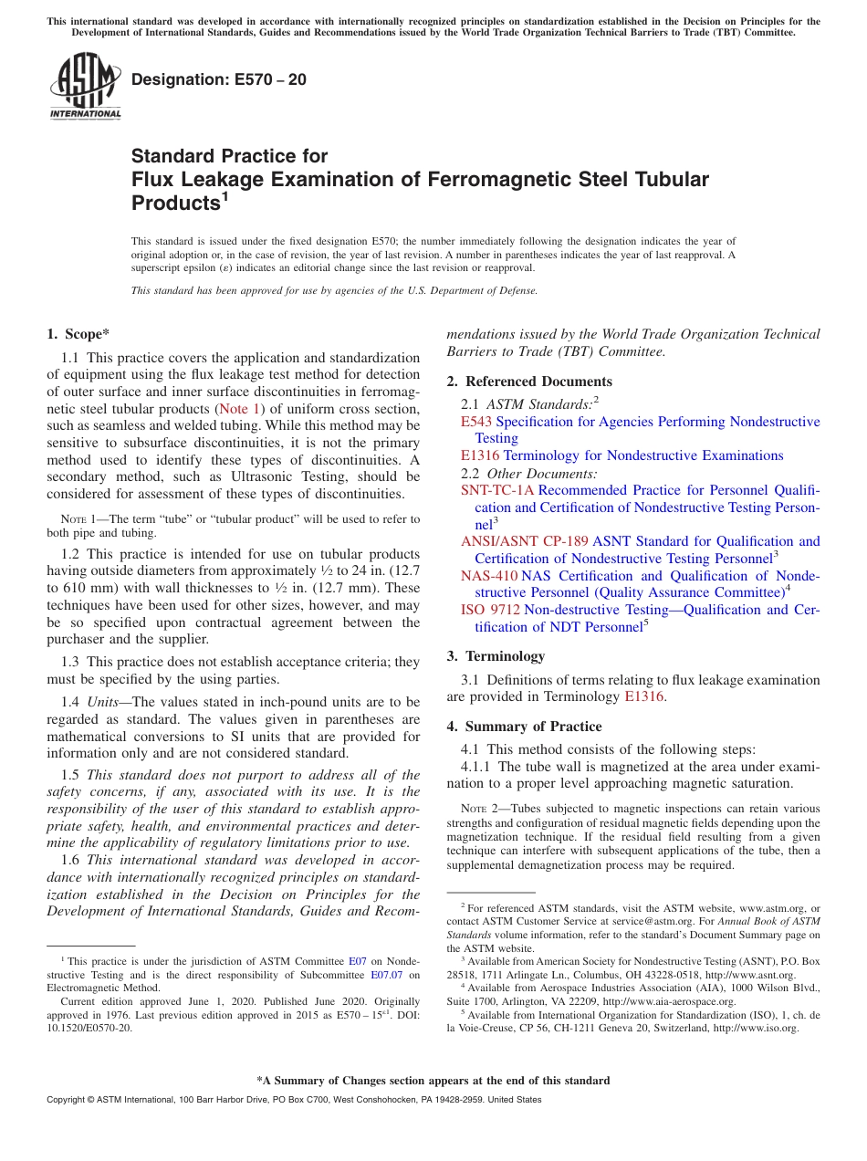 (正版)ASTM E570-20  3.03.pdf_第1页