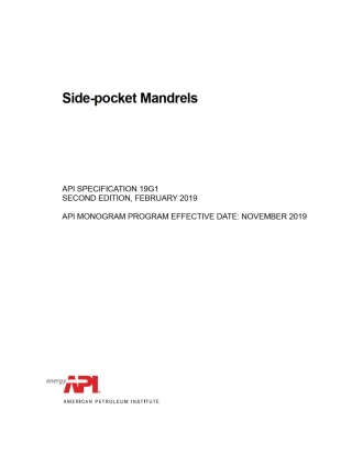 API SPEC 19G1 -2019.pdf