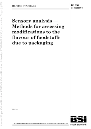 BS ISO 133022003.pdf