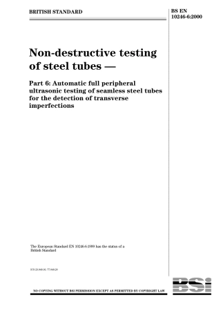 BS EN 10246-6-2000.pdf