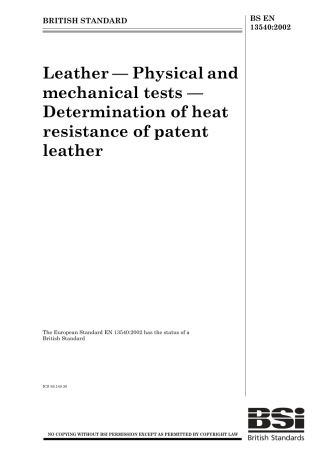 BS EN 13540-2002.pdf