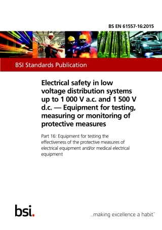 BS EN 61557-16-2015.pdf