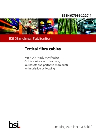 BS EN 60794-5-20-2014.pdf