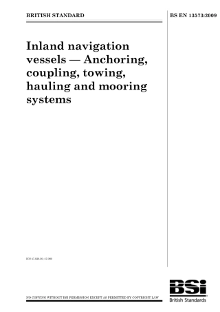 BS EN 13573-2009.pdf