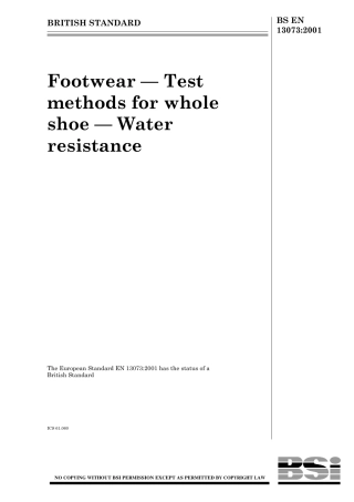 BS EN 13073-2001.pdf