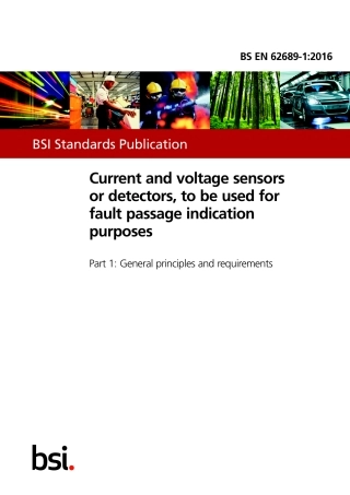 BS EN 62689-1-2016.pdf