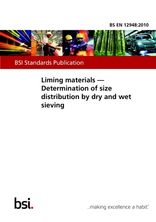 BS EN 12948-2010.pdf