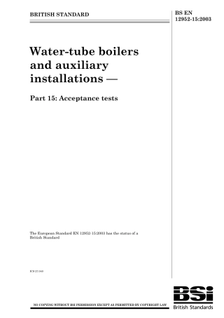 BS EN 12952-15-2003.pdf