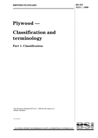 BS EN 00313-1-1996.pdf
