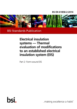 BS EN 61858-2-2014.pdf