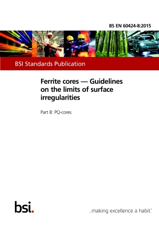 BS EN 60424-8-2015.pdf