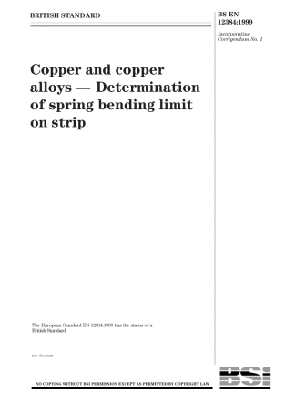 BS EN 12384-1999 (2000).pdf