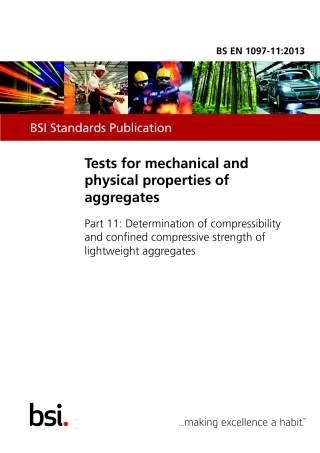 BS EN 01097-11-2013.pdf